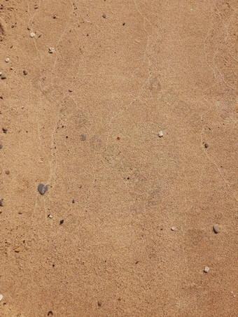 沙子纹理棕色（的）沙子背景细沙子沙子背景