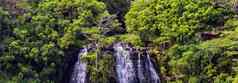 美丽的全景视图奥帕卡瀑布夏威夷岛考艾岛郁郁葱葱的绿色热带森林瀑布