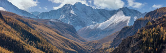 阿尔泰山覆盖雪美丽的高地秋天全景景观山坡上覆盖金树前景蓝色的多云的天空背景俄罗斯西伯利亚