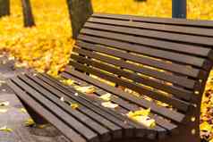 舒适的板凳上休息秋天公园黄色的叶子秋天