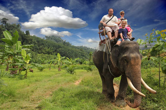 骑大象年轻的家庭孩子骑大象