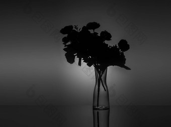 透明的花瓶花黑暗背景回来光