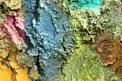 关闭表面色彩斑斓的树树皮喷涂鸦pai