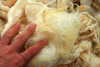 关闭清洁羊羊毛纯自然羊羊毛健康的枕头被子