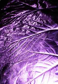 蓝色的紫色的全息箔叶叶子静脉纹理