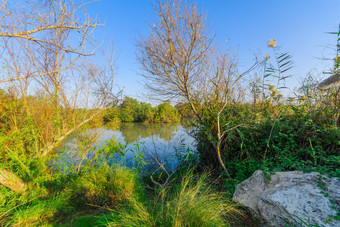 池塘阿菲克自然储备