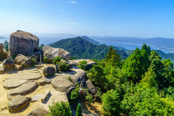 前山第三条Miyajima