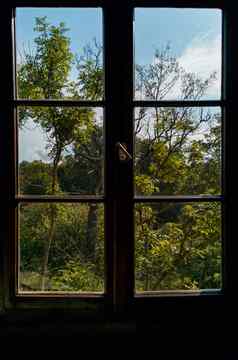 色彩斑斓的窗口视图树自然蓝色的天空
