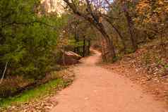 视图徒步旅行小径锡安国家公园犹他州曼联州秋天
