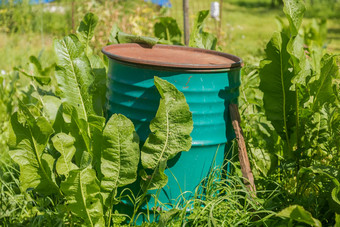 绿色生锈的铁桶烧成灰垃圾花园