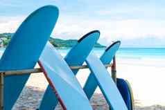 冲浪板租金夏天海滩阳光蓝色的