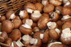 棕色（的）食用香草可食用的蘑菇零售