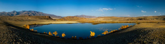 湖阿尔泰山全景阿尔泰景观山时间一年秋天