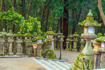 日本灯笼春日大社神社奈良