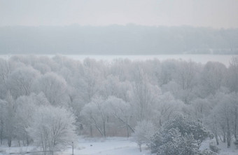 重<strong>暴雪</strong>城市冬天<strong>天气</strong>