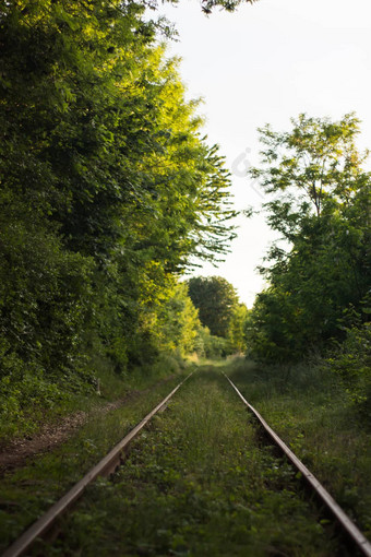 铁路站自然树工业景观铁路蓝色的天空植被夏天铁路结晚上运输铁路