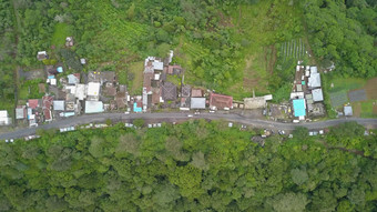 绿色巴厘岛景观空中无人机前视图路树北巴厘岛岛印尼