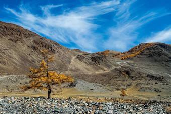 阿尔泰山景观自然阿尔泰山峡谷山