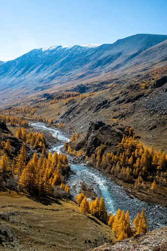 阿尔泰山景观自然阿尔泰山峡谷山