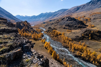 阿尔泰山景观自然阿尔泰山峡谷山