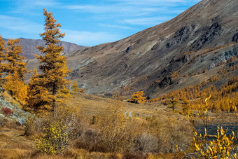 阿尔泰山景观自然阿尔泰山峡谷山