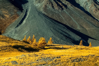 阿尔泰山景观自然阿尔泰山峡谷山