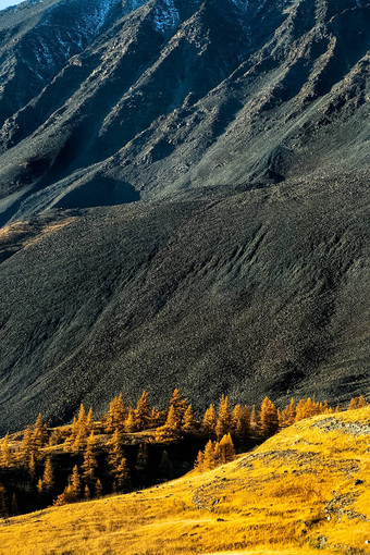 阿尔泰山景观自然阿尔泰山峡谷山