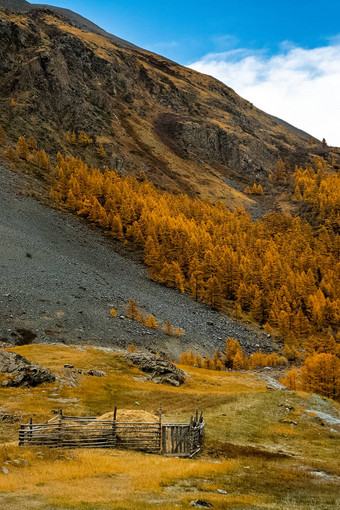 阿尔泰山景观自然阿尔泰山峡谷山