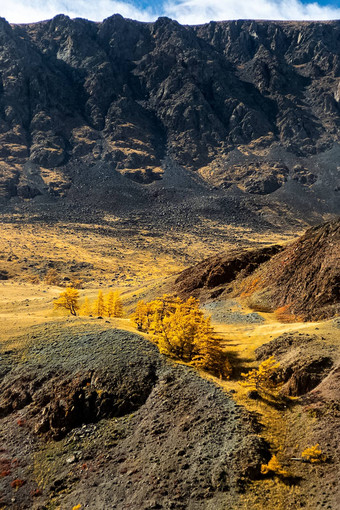 阿尔泰山景观自然阿尔泰山峡谷山