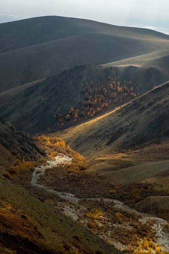 阿尔泰山景观自然阿尔泰山峡谷山