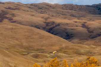 阿尔泰山景观自然阿尔泰山峡谷山