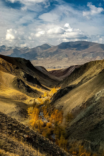 阿尔泰山景观自然阿尔泰山峡谷山