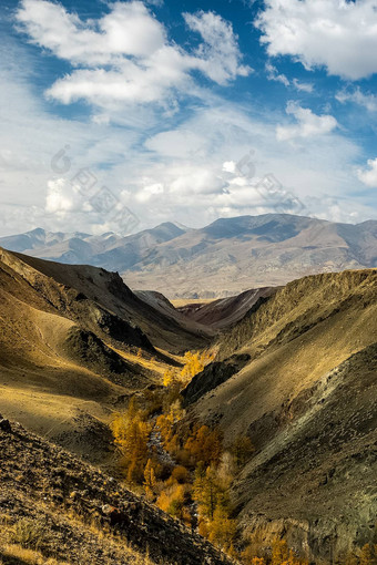 阿尔泰山景观自然阿尔泰山峡谷山