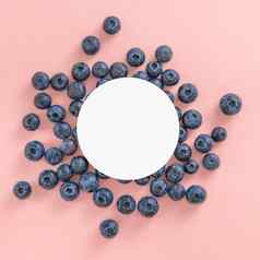 蓝莓粉红色的背景白色圆