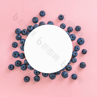蓝莓粉红色的背景白色圆