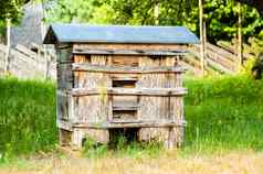 蜂房蜜蜂蜂蜜农场历史蜂巢花园