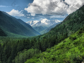 自然阿尔泰山景观森林水库阿尔泰