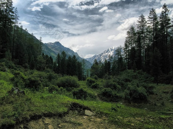 自然阿尔泰山景观森林水库阿尔泰