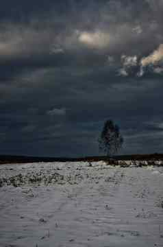 冬天长满草的场俄罗斯风景冬天