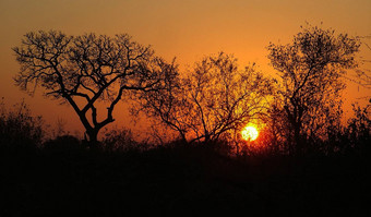 美丽的图片莫桑比克