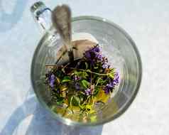 透明的杯子茶酝酿茶袋酝酿Herbal茶Herbal茶
