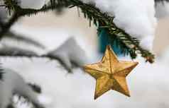 金明星圣诞节装饰户外冷杉树