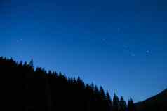 晚上天空星星轮廓背光树森林