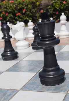 黑色的王户外国际象棋集花园