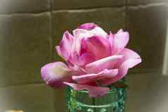 酒粉红色的颜色玫瑰花手工制作的糖根据可食用的