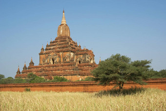 苏拉马尼寺庙蒲甘缅甸