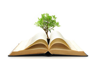 树日益增长的书