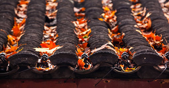 古老的中国人房子屋顶瓷砖设计秋天叶子西湖