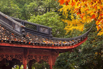 古老的中国人房子屋顶秋天叶子树西湖杭州
