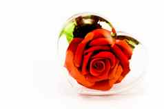 红色的玫瑰transparen心玻璃